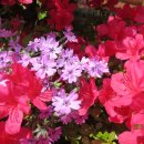 남정중학교 이미지