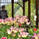 국립백두대간수목원 방문자센터 이미지