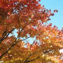 세종미용예술직업전문학원 네이버블로그