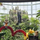 거창창포원 | 5월 경남 거창 가볼만한곳 여행 창포원 강아지