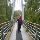 장태산휴양림 이미지