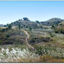 마중오름 이미지