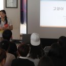 중앙애견미용학원 이미지