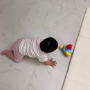 봉자빨래 | 11개월 아기 주말 보육 쉽지않다