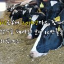 다해닷컴