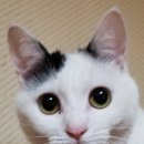 여름겨울