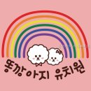똥깡아지 | 똥깡아지 애견유치원&애견호텔 선택 전 먼저 볼 핵심 정보