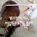 제로케이미터 | 이토록 아름다운