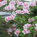 유공인중개사사무소 이미지