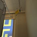 이수내과의원 | 결혼식 4일전 교래의 하루 이수역 내과추천 제영떡방 완두시루떡 당일예약