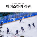 강릉하키센터 | 강릉 하키센터 직관 후기 - 여자 아이스하키 준결승전