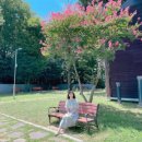 일렁이는 | 강릉 전시회) 강릉시립미술관 &#39;춤, 흐르는 물결, 일렁이는 마음, 꿈꾸는 표류&#39; 후기