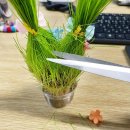 반려식물 원예화분 공예 | DIY 잔디인형 키우기 키트 반려식물 토피어리 화분 꾸미기 후기