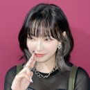 애니미용실 - 춘천시 | 애니미용실