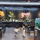 노원-현장-1435 | 추천] 아들과 딸이 푹 빠진 특별한 시간! 상어와 잉어 먹이주기가 있는 완벽한 아쿠아카페 방문 후기 🦈🐠