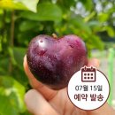 체리