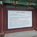 돌배야영장제1야영장 이미지