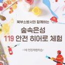 숲속은성 이미지