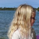 포레포레 이미지