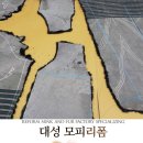 신안명품세탁 이미지