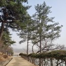 안동하회찜닭구미점 | [안동 1박2일] 여자 셋의 추노여행 - (둘째 날) 도산서원, 이육사문학관 끝.