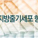 (주)이지에프 이미지