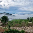 차경농장 이미지