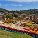 지정환임실피자 이미지