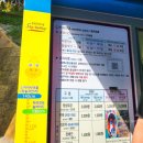 동해해상호텔(주) | 동해여행 필수코스 도째비골스카이밸리와 해랑전망대(26년4월) 방문후기