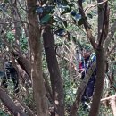 내천농장 이미지