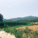 개발부담금행정사 이미지