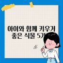 함께키우기 이미지
