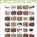 박종철한의원 | [도서후기] 약초 한약 대백과 - 박종철 -