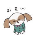 룰루랄라 펫드라이브 이미지