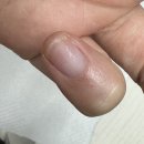 크레아 | 크레아 티퍼니젤 실사용 후기
