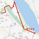 (마감)11월2일(월) 하남 미사리 둘레길(메타숲길) 이미지
