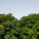 당구풍월 이미지