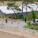 푸른초원농원 이미지