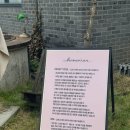 하와이 | [국내여행]영흥도 풀빌라<하와이비치>204호 내돈내산 후기 / 완전추천, 재방문 예약완료