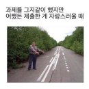 애드인사이트 - 수원시 팔달구 효원로249번길 46-15 | 애드인에듀 백엔드개발자 국비지원교육 수료생의 1인 프로젝트 도전기