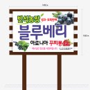 반석농장 이미지