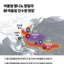 판다백화점 이미지