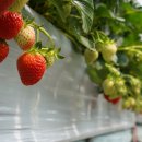 법곳농장 이미지