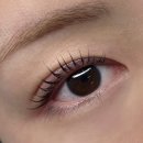 모나코 뷰티 | [창원 남양동] 또렷한 눈매 만들어주는 케라틴 영양 펌 | 뷰에잇뷰티 속눈썹 펌 솔직 후기