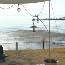 A4 | 태안 애견동반 오션뷰 캠핑장 캠핑드림 A4 후기 | 바다 보며 즐긴 감성 캠핑[상세후기]