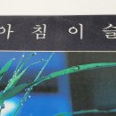 한계령의아침 이미지