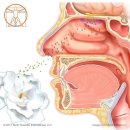위강한의원 이미지