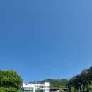 의정부 대형카페 파크프리베 후기｜400년 은행나무·승마체험 가능한 가족카페