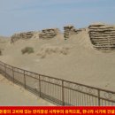 대장부