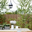 주택 담장 앞 이미지